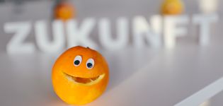 Smiley aus Orange vor Schriftzug "Zukunft"